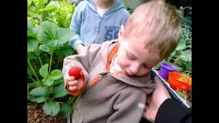 Passive Solar Greenhouse and Aquaponics - 2012 april.