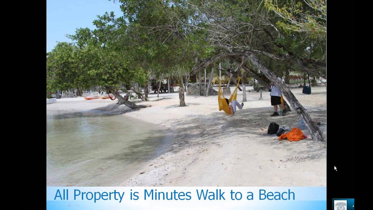 Orchid Bay Amenities & Infrastructure YouTube