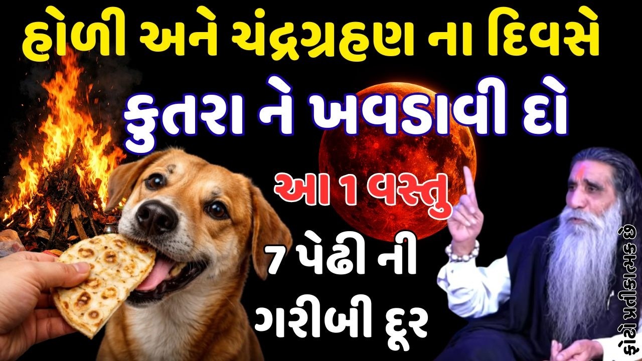હોળી અને ચંદ્રગ્રહણ ના દિવસે કુતરા ને ખવડાવી દો આ 1 વસ્તુ  || VASTU SHASHTRA || VASTU TIPS