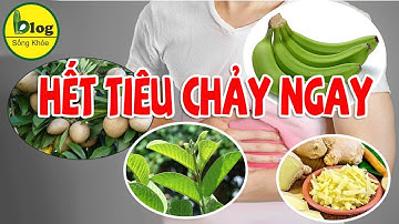 Trị tiêu chảy 2023 - top những cây thuốc nam trị tiêu chảy hiệu quả có ngay trong vườn nha