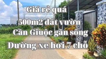 Đất vườn thị trấn Cần Giuộc| Gần quốc lộ 50| Diện tích 500m2| Đường xe hơi 7 chỗ|Gần sông thoáng mát