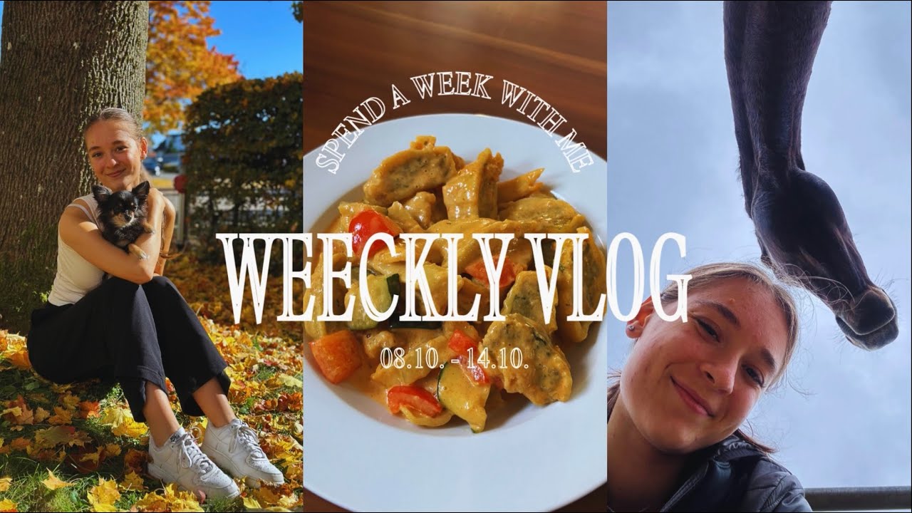 Weekly Vlog
