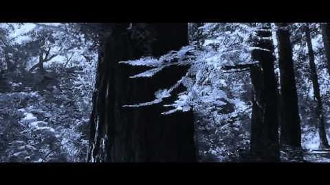 SHIPPING AND HANDLING: Poisonous Eyes Music Video