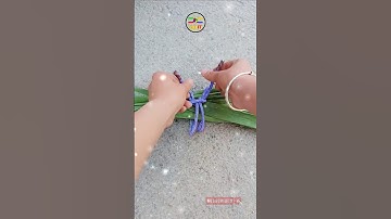 How to vegetable bundle git #shorts #knot #git #diy #handmade @DoiT_03