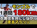 【日本人初】モンゴルで1週間180km走って優勝してきました！！