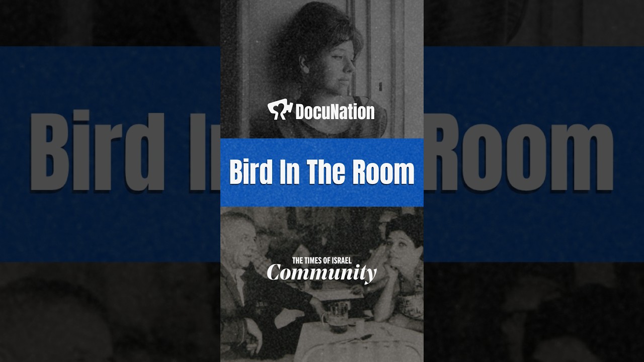 DocuNation: Bird in the room