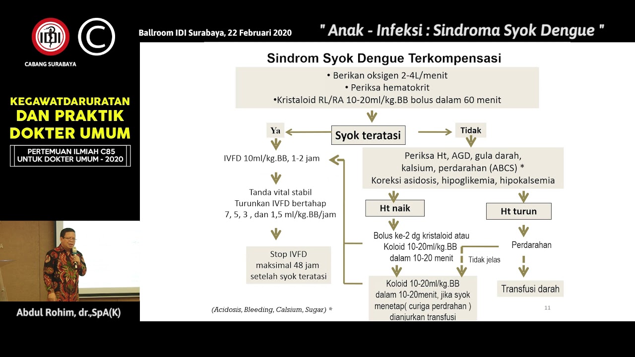 01 Anak - Infeksi : Sindroma Syok Dengue - Abdul Rohim, dr.,SpA