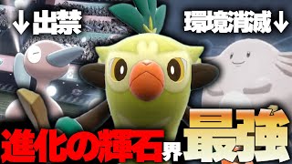 マイナーアイテムに成り下がった「しんかのきせき」を一番強く使えるポケモン知ってる…？？？【ポケモンSV】猿