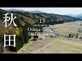 [SAKURA DRONE 4K] おしら様の枝垂れ桜（Oshira-sama's Shidarezakurariokashidare）秋田県湯沢市｜桜ドローンプロジェクト2026