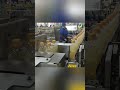Edible Oil Case Packer Machine - 6 Bottles Per Carton #droppacker #cookingoilmachine