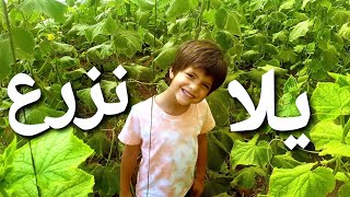 كيف خليت ولادي يحبو الخضار   Vlog Mujeb Farm