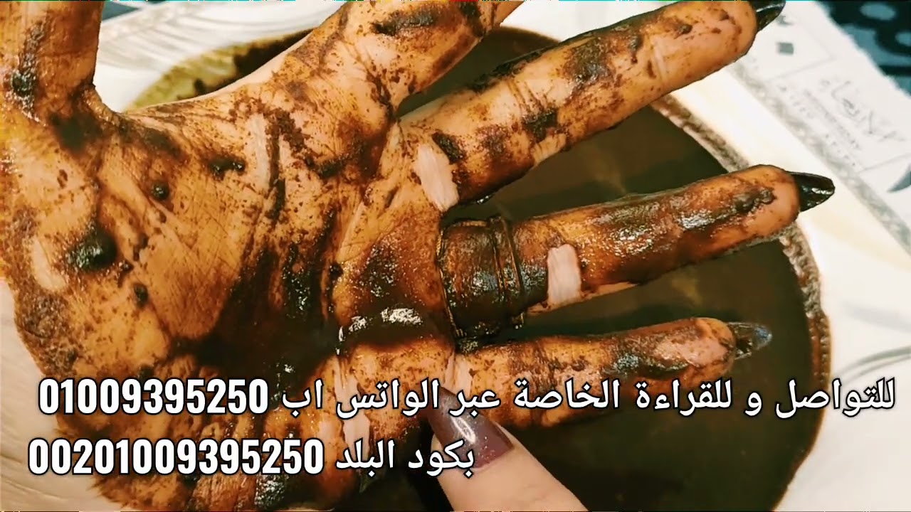 قراءة كف🤚برج الأسد🦁دعوة المظلوم لا ترد👌لازم تعرف الشريك ع حقيقته💫الخير ع ايد الي متتوقعهوش💎تغير عتبة