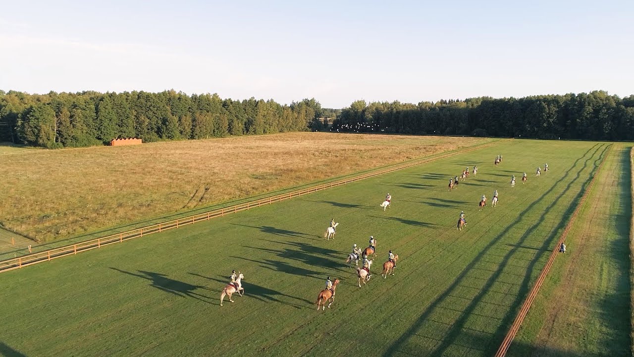 FEI Endurance World Championship for Young Horses - Padise 2023 - Ride Day