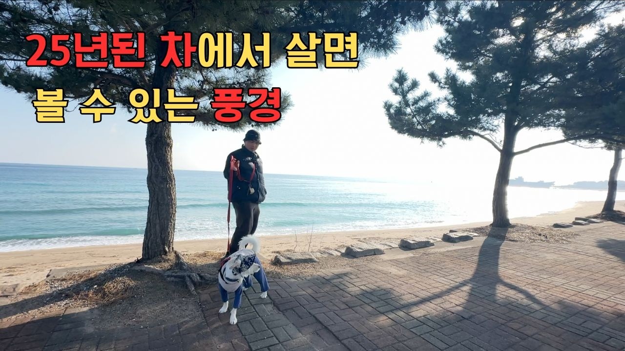 25년 된 차에서 살면 볼 수 있는 풍경 [2025 겨울휴가 5번째]