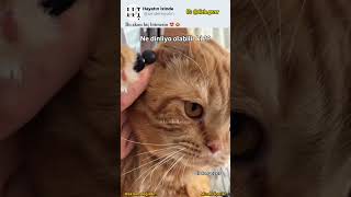 Bu Akım Hiç Bitmesin 😍😂