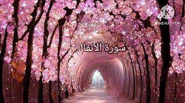 سورة الأنفال بصوت هزاع البلوشي
