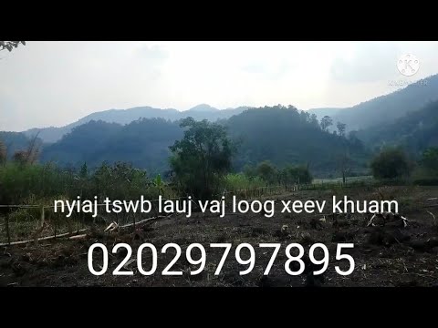 Video: Dab tsi tshwm sim thaum kawg ntawm Journey to the West?