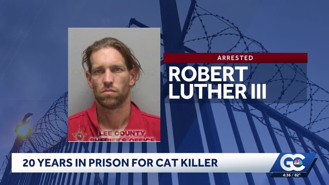 Lee County man sentenced to 20 years for mutilating two cats, leaving their  severed heads in a box