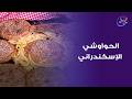 من أول لقمة هتعرف الفرق بين الحواوشي العادي والحواوشي الإسكندراني اللي من إيد الشيف هالة فهمي❤️