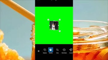How To Joint Picture Editing Green Background #150