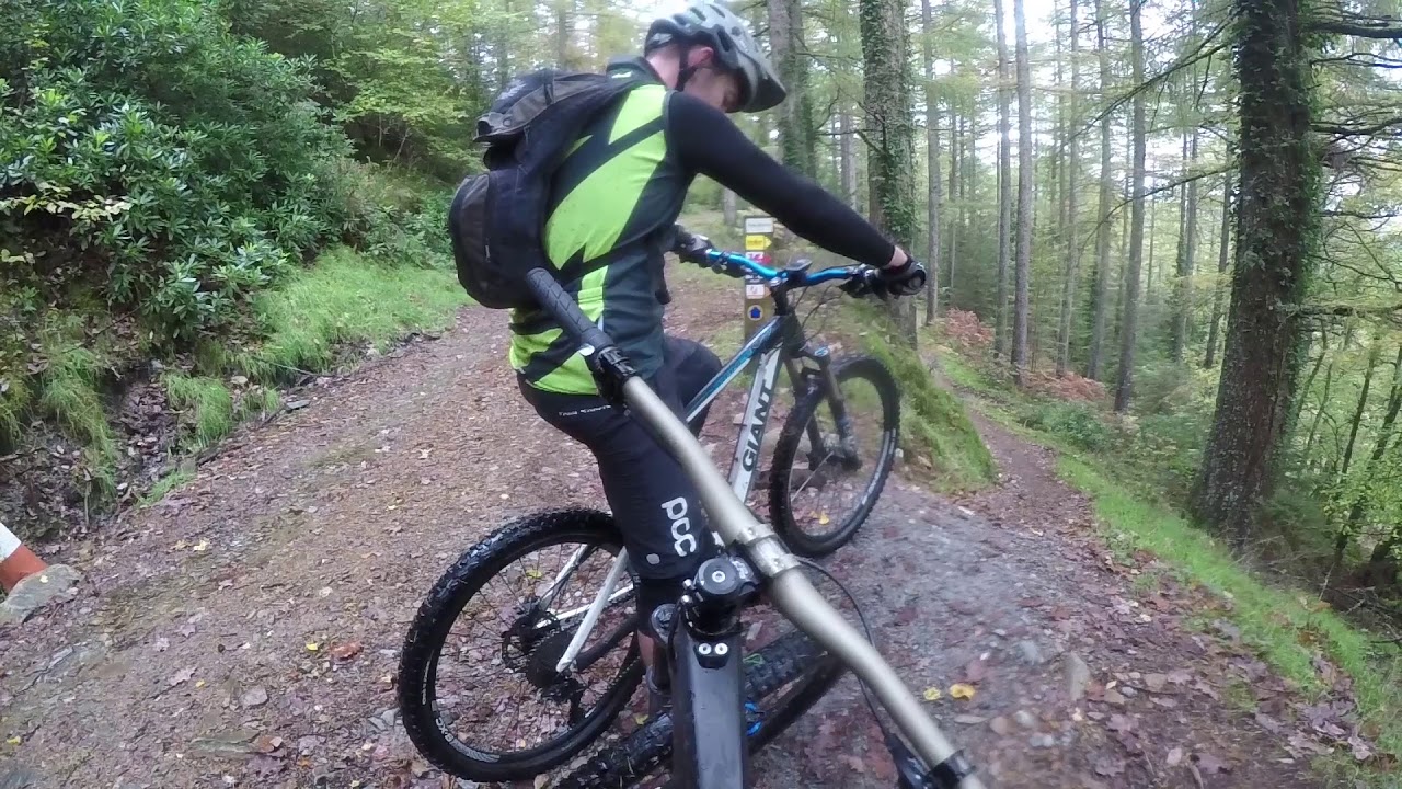 Mountain Biking Coed Y Brenin - The Beast of Brenin!! - YouTube