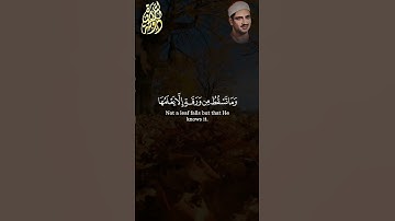 وَمَا تَسْقُطُ مِن وَرَقَةٍ إِلَّا يَعْلَمُهَا #المنشاوي #سورة_الأنعام #quran