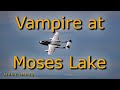 Moses Lake Air Show Action – Saturday June 17, 2023 - deHavilland Vampire debut