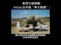 新西兰被提醒：Anzac合作要“睁大眼睛”！