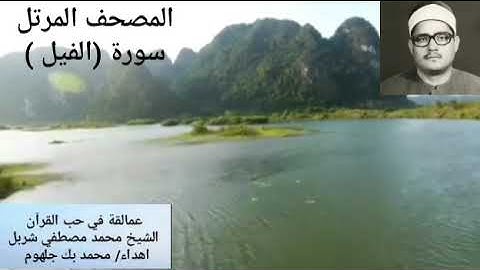المصحف المرتل الشيخ محمد مصطفي شربل سورة ( الفيل)