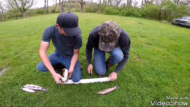 Tennessee Trout Fishing and quick way to gut fish