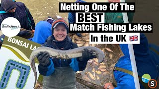 Netting & Draining One Of The BEST Match Fishing Lakes in the UK  Lindholme Lakes Bonsai lake