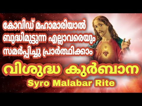 പ്രാർത്ഥന നിർത്തരുതേ! ഒന്നിച്ച് കുർബാനയിൽ പങ്കുചേരാം holy mass syro malabar sabha malayalam today