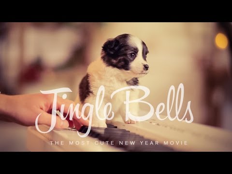 Jingle Bells українською (New Year 2019) – Шпилясті кобзарі (Ukraine)