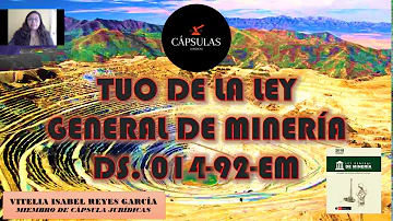 ¿Cuáles son las actividades mineras establecidas en el TUO de la ley General de Minería?