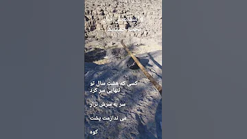 در بهار زندگی احساس پیری میکنم با همه آزادگی فکر اسیری میکنم 