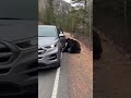 He Stepped Out of His Car… Then a Black Bear Charged 😱