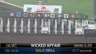 Gate Works with Ed Burgart.  Analysis of gate workouts at Los Alamitos!!