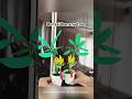 Bonsai banana tree ☺️bonsai paper craft @Craft studio by Aparna #bonsai #banana #paper#diy #shorts
