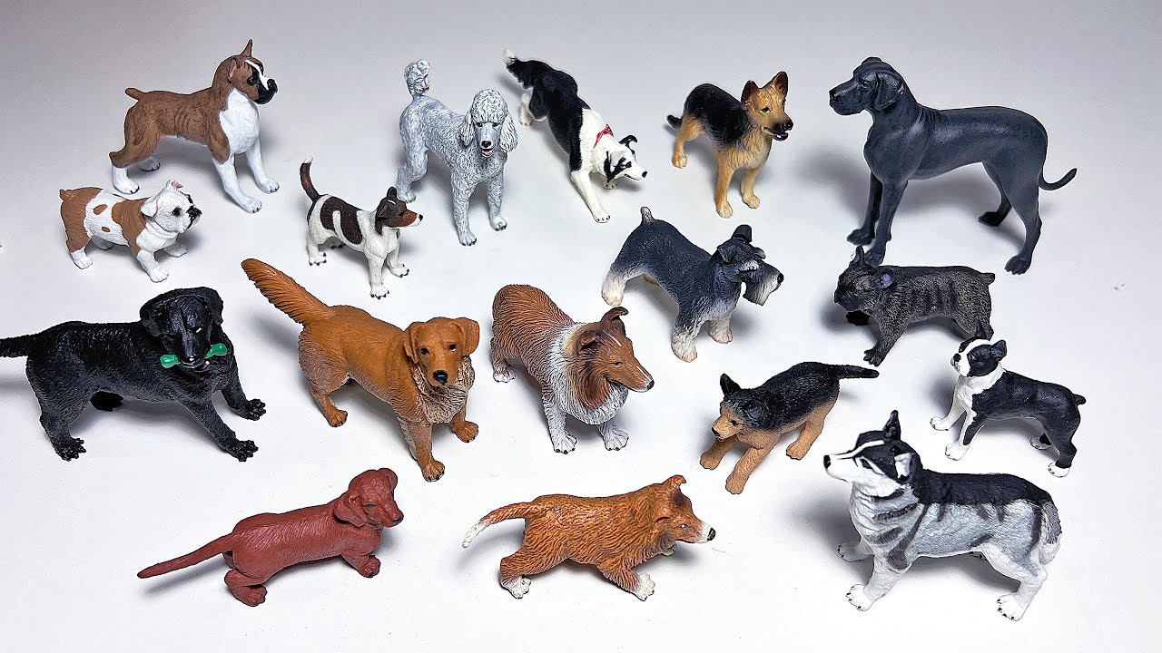 Dogs Collection - French Bulldog, Collie, German Shepherd, Labrador, Golden Retriever, Great Dane