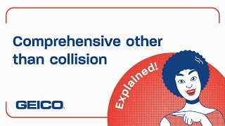 What Is Comprehensive Coverage  Geico