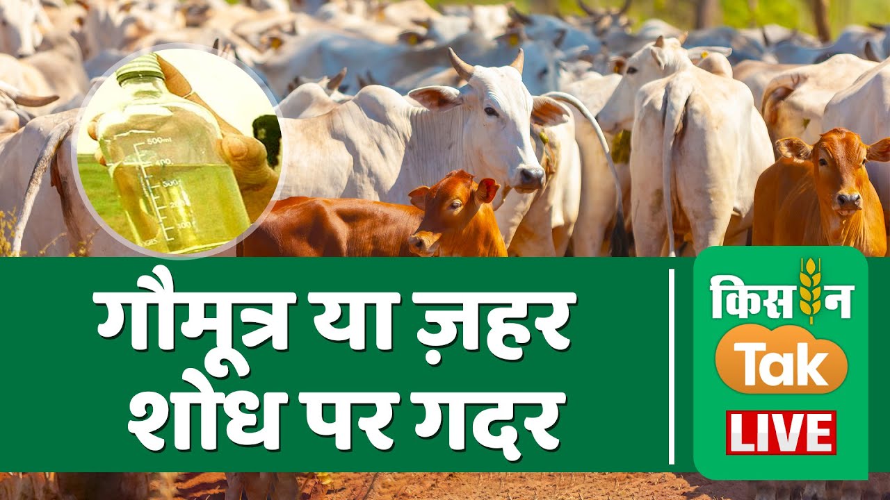 KIsan Tak Live: Gaumutra पर शोध करने वाले वैज्ञानिक Dr Bhoj Raj Singh किसान तक पर। Cow Urine