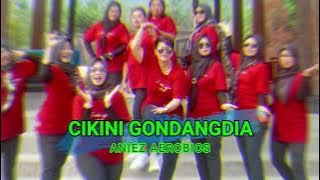 CIKINI GONDANGDIA - SENAM KREASI TERBARU - AEROBICS DANCE by ANIEZ AEROBICS