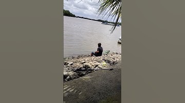 câu cá ngát ngã ba sông vàm cỏ.Catfish fishing at the confluence of rivers and grass