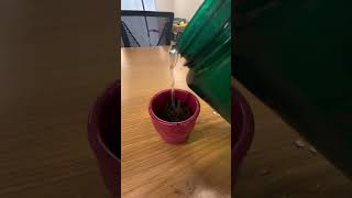 We Have All This Fancy Shmancy Equipment, But Did You Know There Are Other Ways To Make