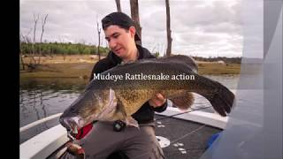 Mudeye Rattlesnake wakebait in action