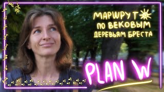 Проект экскурсий по столетним деревьям Бреста | Plan W - курс женского лидерства