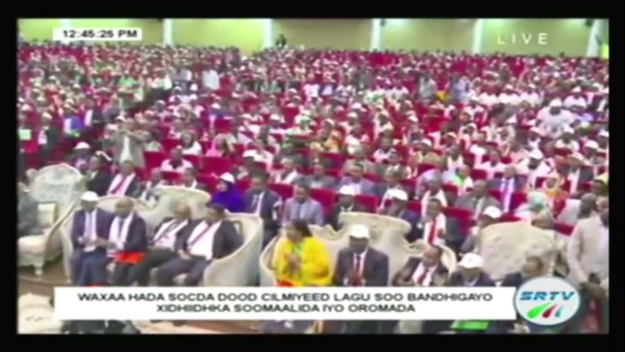 Wallisaa Yonis Abdullahi short history