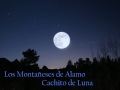 Los Montañeses del Alamo - Cachito de Luna