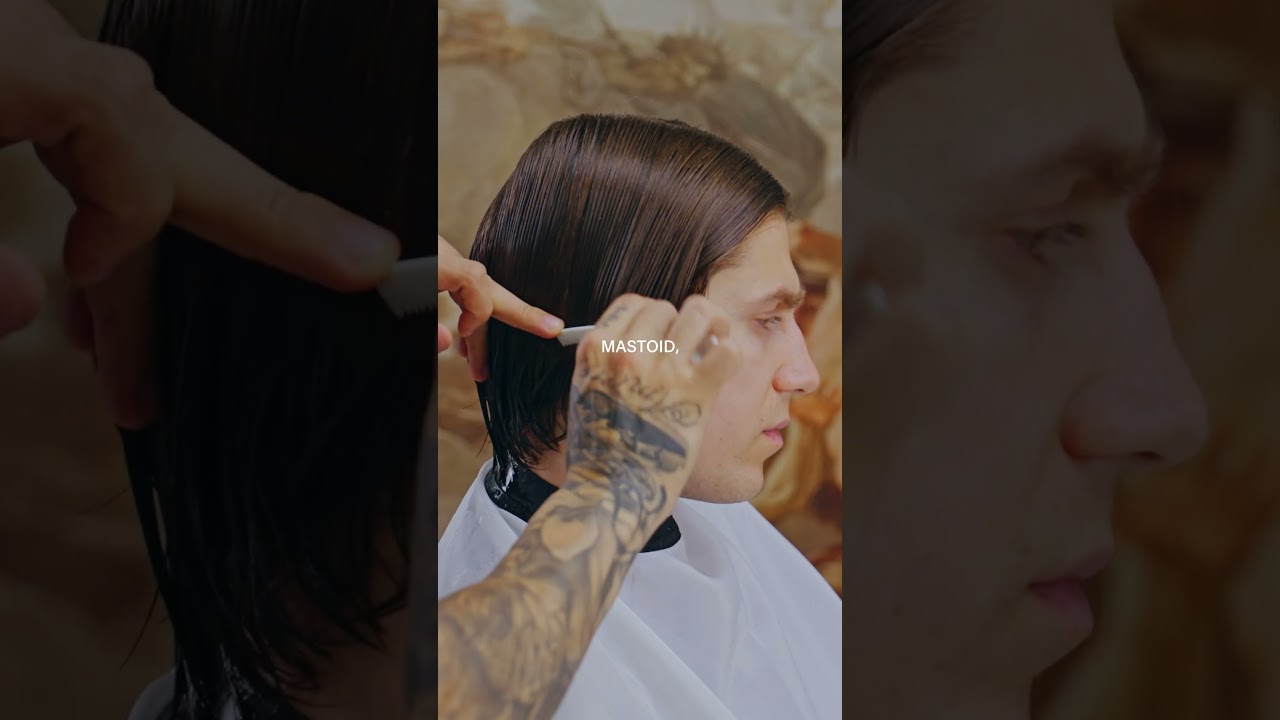 Master Sectioning for Internal Layers ✂️ | Barber Tutorial
