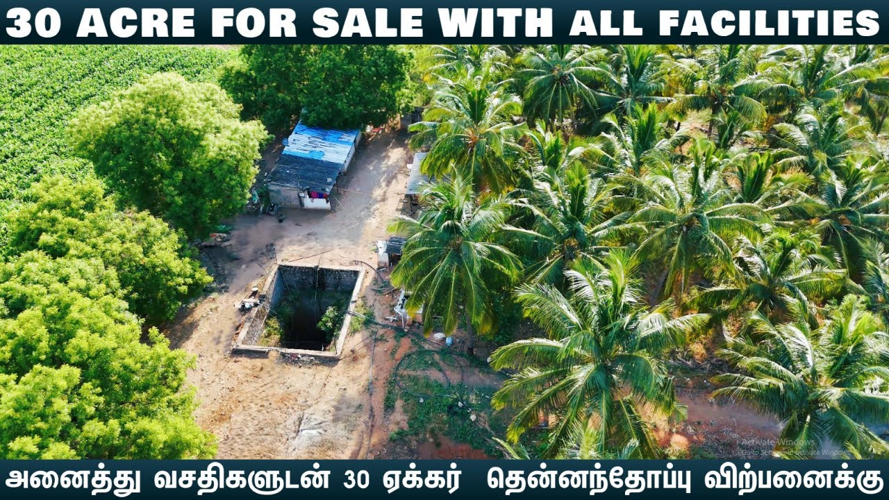 🌴அனைத்து வசதிகளுடன் 30 ஏக்கர் விற்பனைக்கு | 30 ACRE🌳FOR SALE #best #land #lowbudget #property #farm